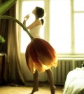 Flower Frock Illusion