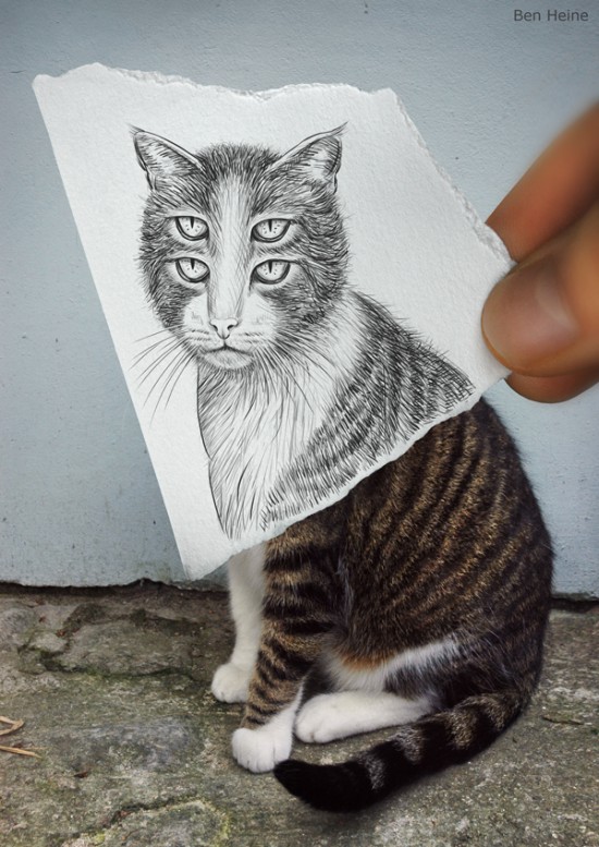 half drawing photograph pickchur interesno via cat