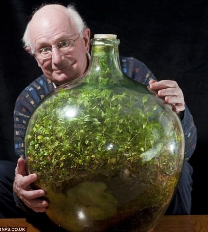 bottle_ecosystem