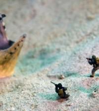 Underwater Invasion - Snake eel