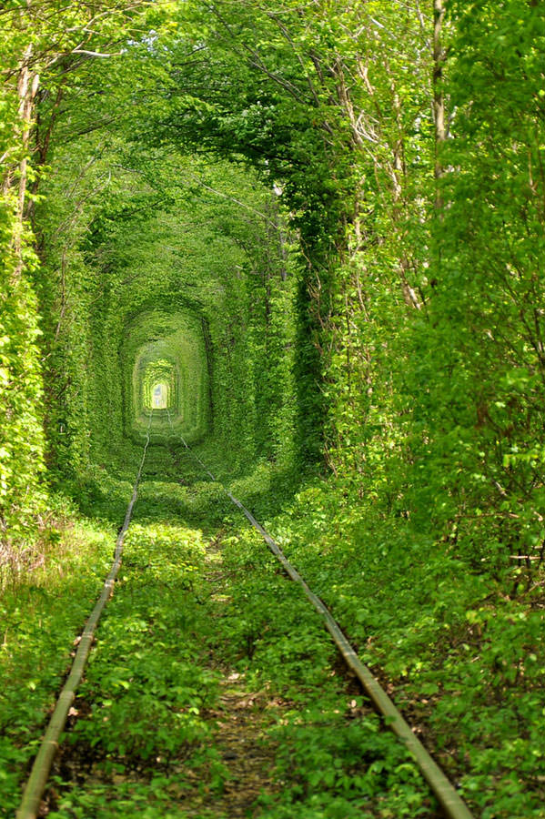 tunnel-in-Ukraine