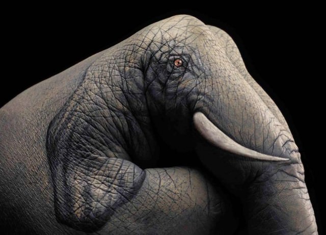 Handart-elephant