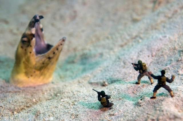 Underwater Invasion - Snake eel