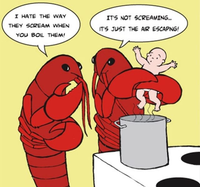 lobster revenge