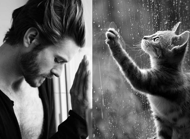 Sexy Guy or Cat (1)