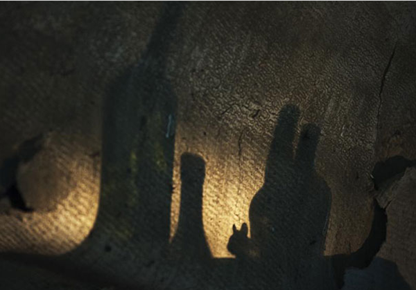 animals take over abondoned house (13)