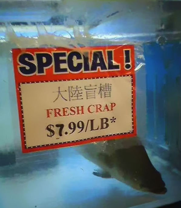 english fails in China (11)