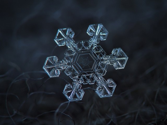 Snowflakes (6)