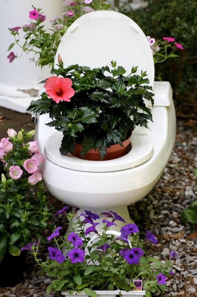 toilet_and_flowers_11