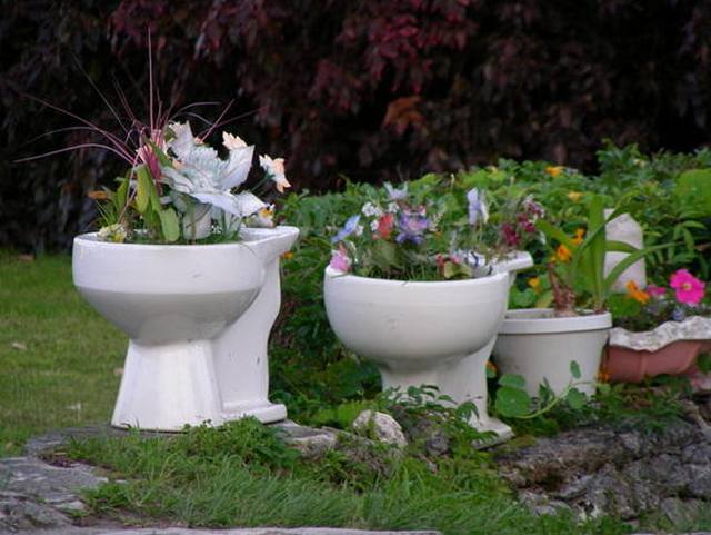 toilet_and_flowers_15