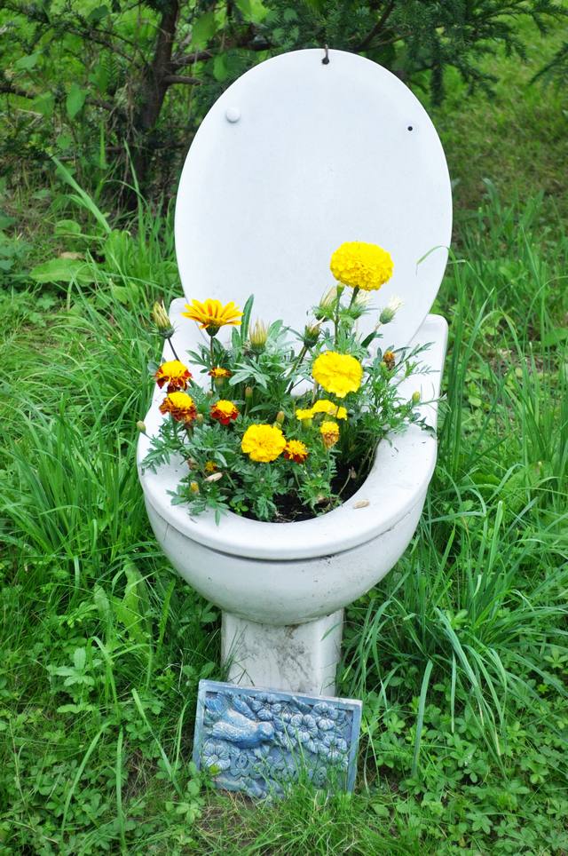 toilet_and_flowers_18