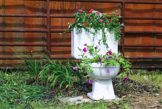 toilet_and_flowers_2
