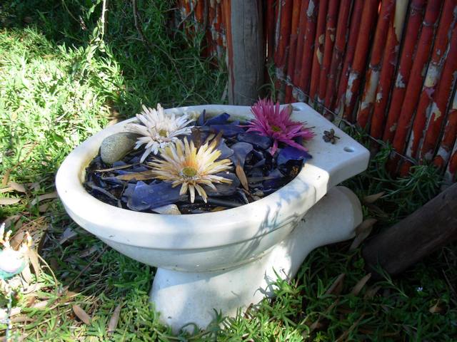 toilet_and_flowers_5