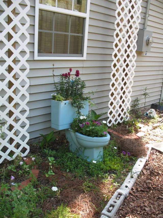 toilet_and_flowers_6