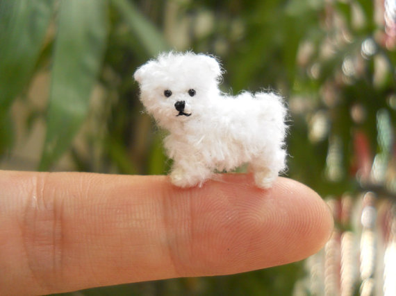 tiny_animals (1)